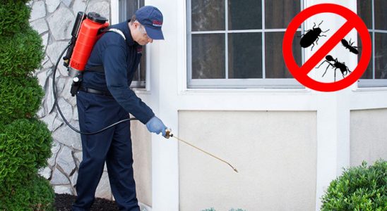 Çayıralan Dezenfeksiyon böcek ilaçlama ve haşere kontrolü — ilaclama-tr.com